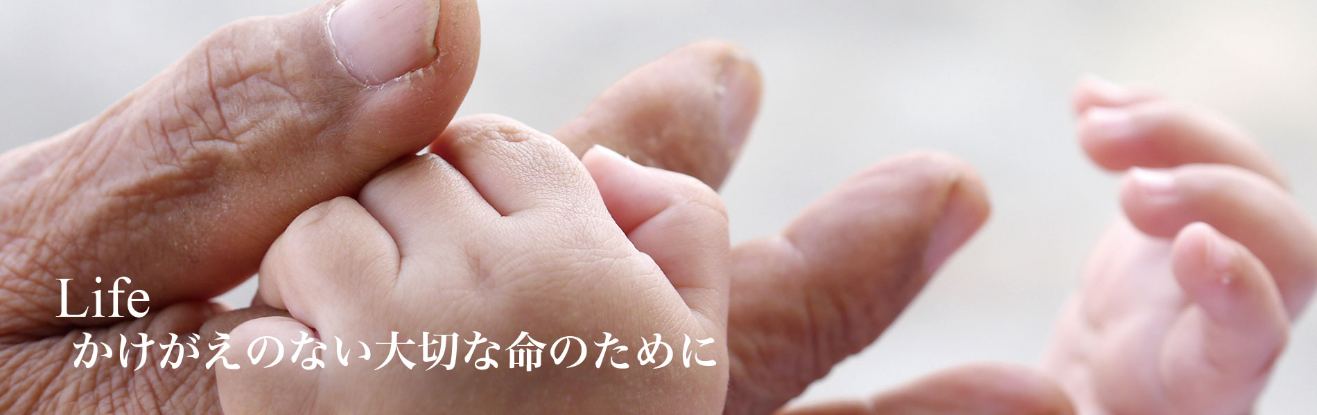 Life かけがえのない大切な命のために
